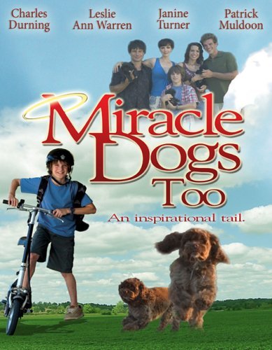 Скачать Зак и чудо-собаки / Miracle Dogs Too через торрент